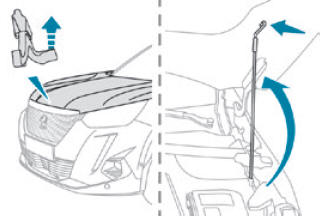 Peugeot 2008. Bonnet